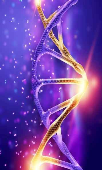 La Vibration élève le niveau vibratoire de Connexion, de cohérence, d'harmonie, de santé de vos cellules…